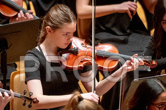 2024 University of Illinois High School Orchestra ClinicFebruary 24, 2024