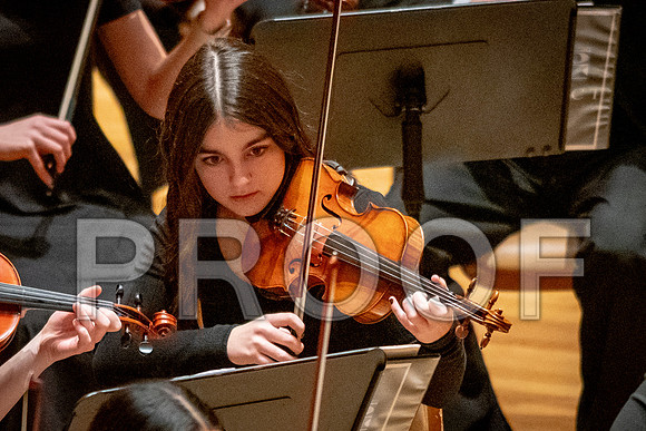 2024 University of Illinois High School Orchestra ClinicFebruary 24, 2024