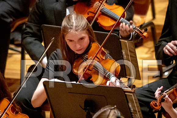 2024 University of Illinois High School Orchestra ClinicFebruary 24, 2024