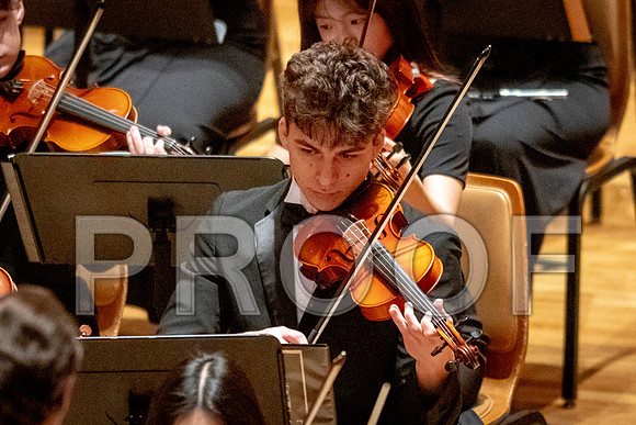 2024 University of Illinois High School Orchestra ClinicFebruary 24, 2024