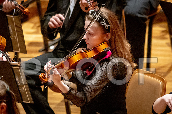 2024 University of Illinois High School Orchestra ClinicFebruary 24, 2024