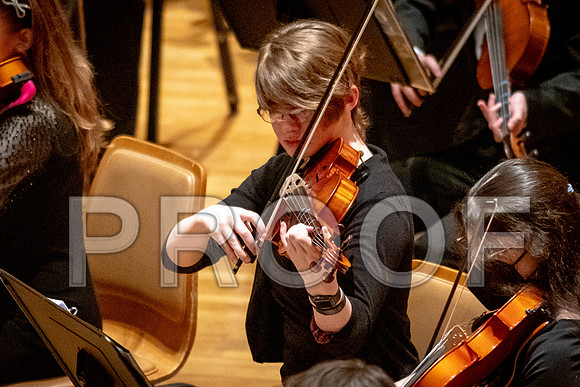 2024 University of Illinois High School Orchestra ClinicFebruary 24, 2024