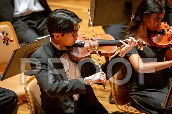 2024 University of Illinois High School Orchestra ClinicFebruary 24, 2024