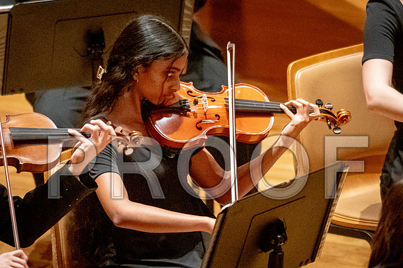 2024 University of Illinois High School Orchestra ClinicFebruary 24, 2024