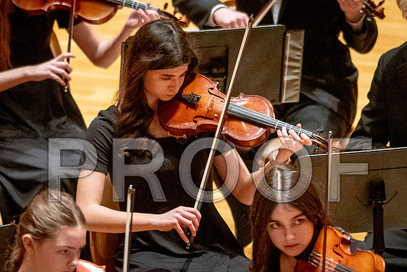 2024 University of Illinois High School Orchestra ClinicFebruary 24, 2024