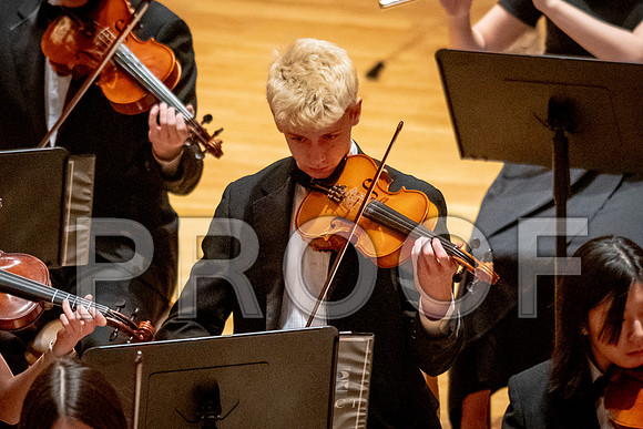 2024 University of Illinois High School Orchestra ClinicFebruary 24, 2024