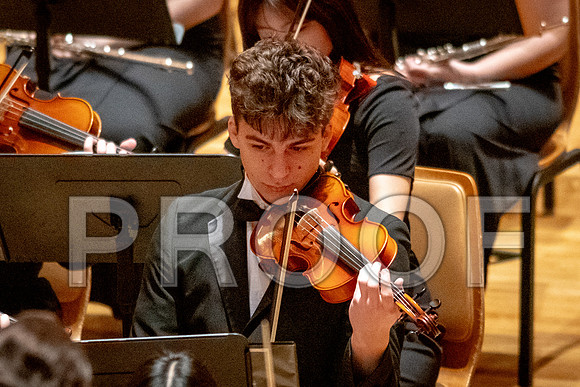 2024 University of Illinois High School Orchestra ClinicFebruary 24, 2024