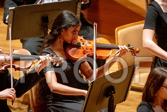 2024 University of Illinois High School Orchestra ClinicFebruary 24, 2024