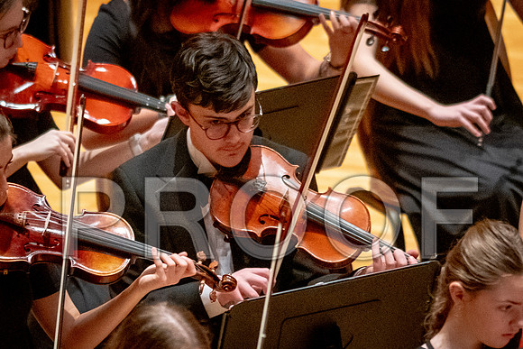 2024 University of Illinois High School Orchestra ClinicFebruary 24, 2024