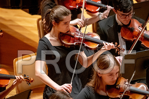2024 University of Illinois High School Orchestra ClinicFebruary 24, 2024