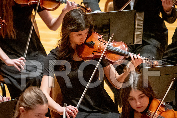 2024 University of Illinois High School Orchestra ClinicFebruary 24, 2024