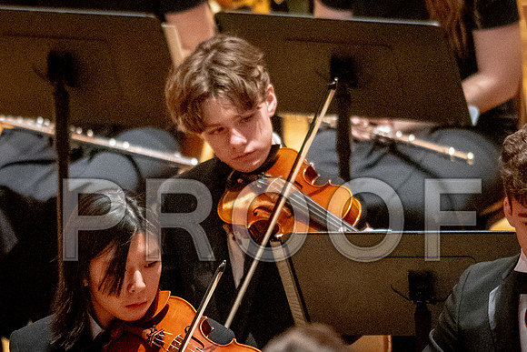 2024 University of Illinois High School Orchestra ClinicFebruary 24, 2024