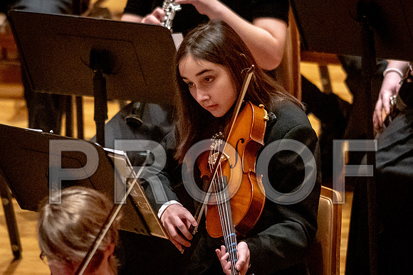 2024 University of Illinois High School Orchestra ClinicFebruary 24, 2024