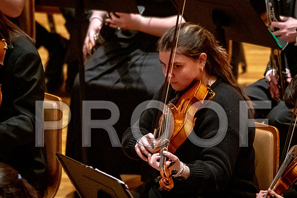 2024 University of Illinois High School Orchestra ClinicFebruary 24, 2024