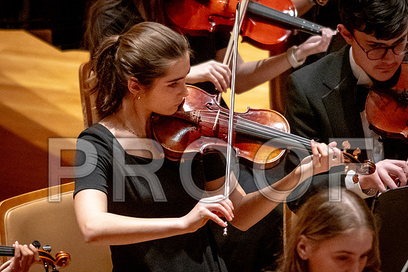2024 University of Illinois High School Orchestra ClinicFebruary 24, 2024