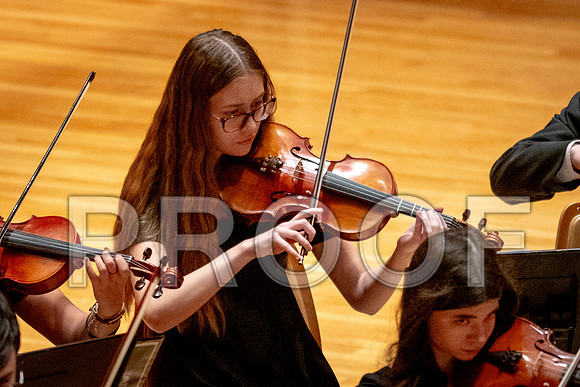 2024 University of Illinois High School Orchestra ClinicFebruary 24, 2024