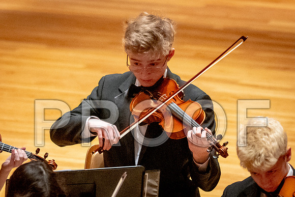 2024 University of Illinois High School Orchestra ClinicFebruary 24, 2024