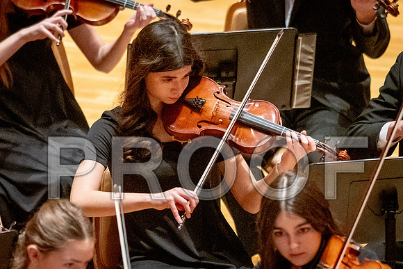 2024 University of Illinois High School Orchestra ClinicFebruary 24, 2024