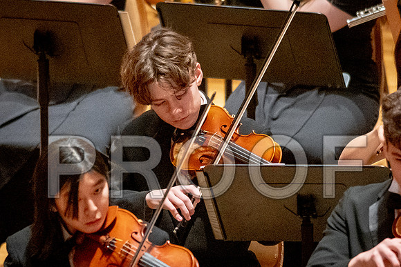 2024 University of Illinois High School Orchestra ClinicFebruary 24, 2024