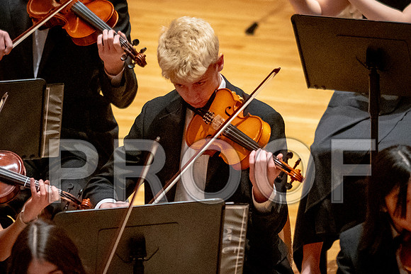 2024 University of Illinois High School Orchestra ClinicFebruary 24, 2024