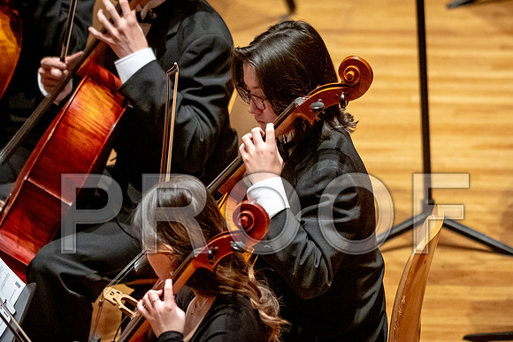 2024 University of Illinois High School Orchestra ClinicFebruary 24, 2024