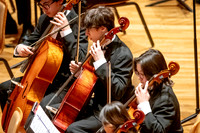2024 University of Illinois High School Orchestra ClinicFebruary 24, 2024