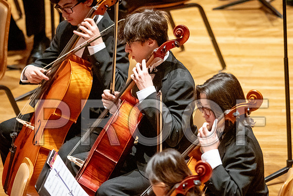 2024 University of Illinois High School Orchestra ClinicFebruary 24, 2024