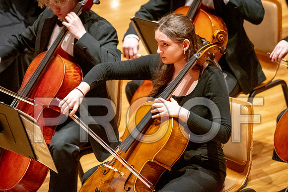 2024 University of Illinois High School Orchestra ClinicFebruary 24, 2024