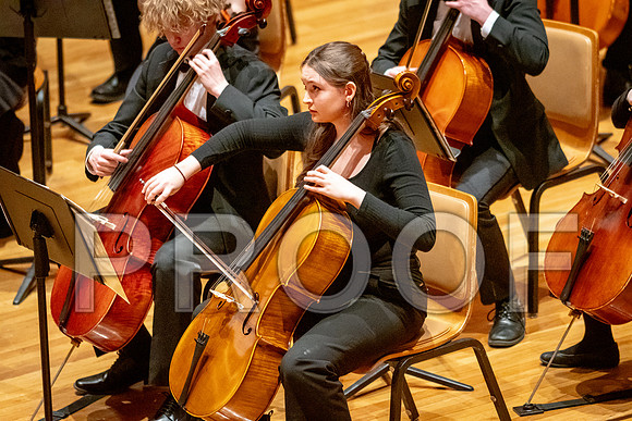 2024 University of Illinois High School Orchestra ClinicFebruary 24, 2024