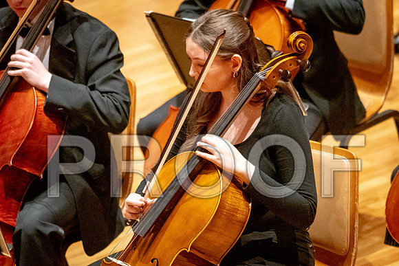 2024 University of Illinois High School Orchestra ClinicFebruary 24, 2024