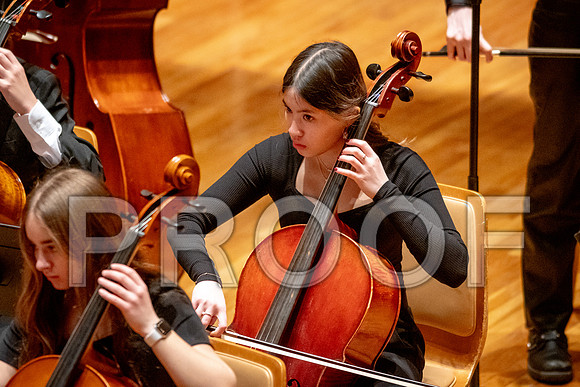2024 University of Illinois High School Orchestra ClinicFebruary 24, 2024