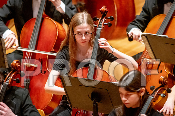 2024 University of Illinois High School Orchestra ClinicFebruary 24, 2024