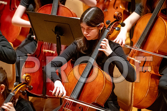 2024 University of Illinois High School Orchestra ClinicFebruary 24, 2024