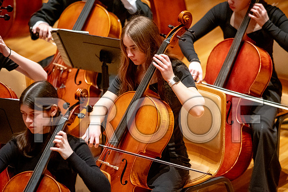 2024 University of Illinois High School Orchestra ClinicFebruary 24, 2024