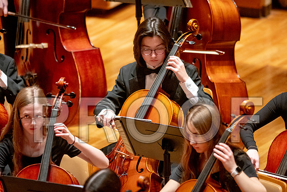 2024 University of Illinois High School Orchestra ClinicFebruary 24, 2024