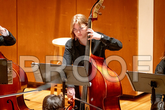 2024 University of Illinois High School Orchestra ClinicFebruary 24, 2024
