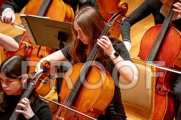 2024 University of Illinois High School Orchestra ClinicFebruary 24, 2024