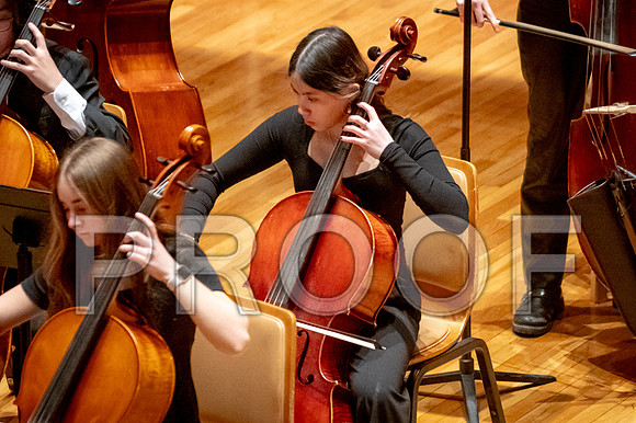 2024 University of Illinois High School Orchestra ClinicFebruary 24, 2024