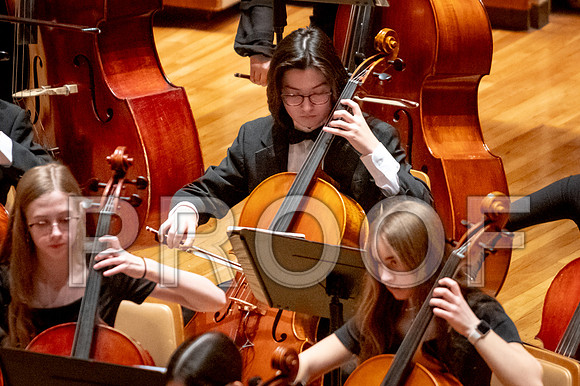 2024 University of Illinois High School Orchestra ClinicFebruary 24, 2024