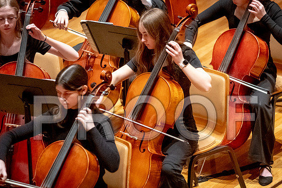 2024 University of Illinois High School Orchestra ClinicFebruary 24, 2024