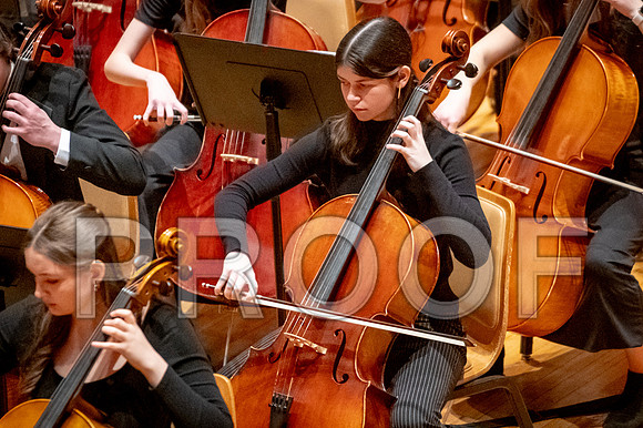 2024 University of Illinois High School Orchestra ClinicFebruary 24, 2024