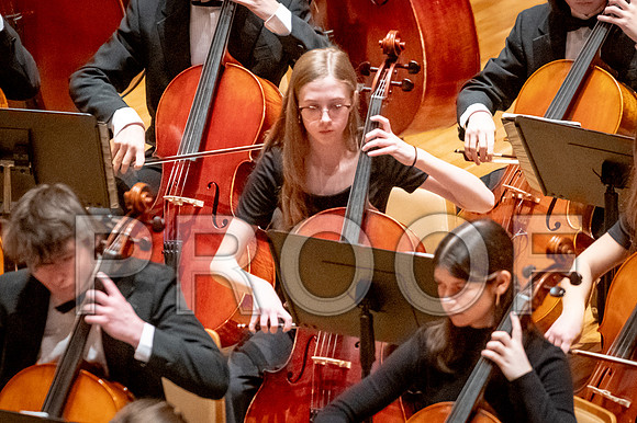 2024 University of Illinois High School Orchestra ClinicFebruary 24, 2024