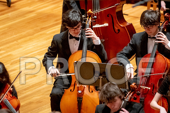 2024 University of Illinois High School Orchestra ClinicFebruary 24, 2024