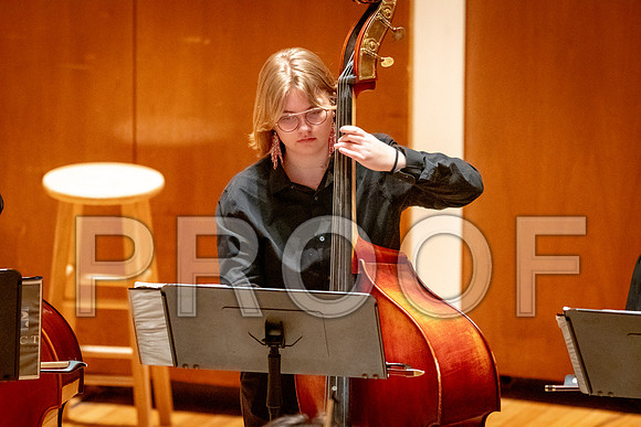 2024 University of Illinois High School Orchestra ClinicFebruary 24, 2024