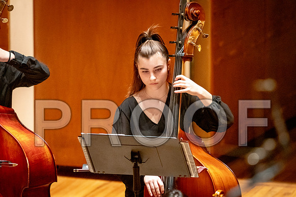 2024 University of Illinois High School Orchestra ClinicFebruary 24, 2024