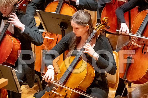 2024 University of Illinois High School Orchestra ClinicFebruary 24, 2024