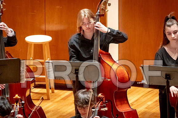 2024 University of Illinois High School Orchestra ClinicFebruary 24, 2024