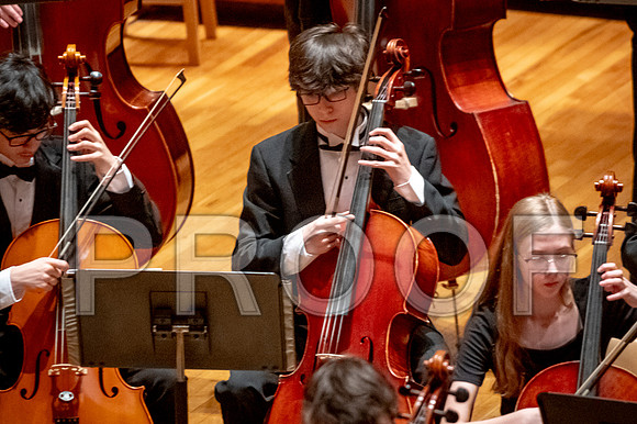 2024 University of Illinois High School Orchestra ClinicFebruary 24, 2024