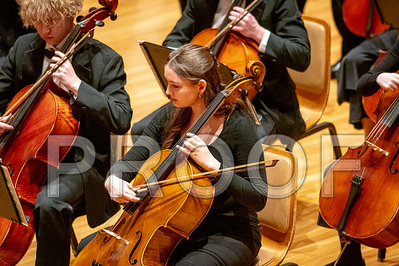 2024 University of Illinois High School Orchestra ClinicFebruary 24, 2024