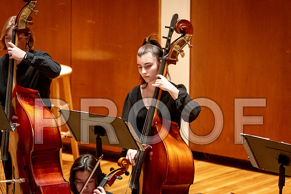 2024 University of Illinois High School Orchestra ClinicFebruary 24, 2024
